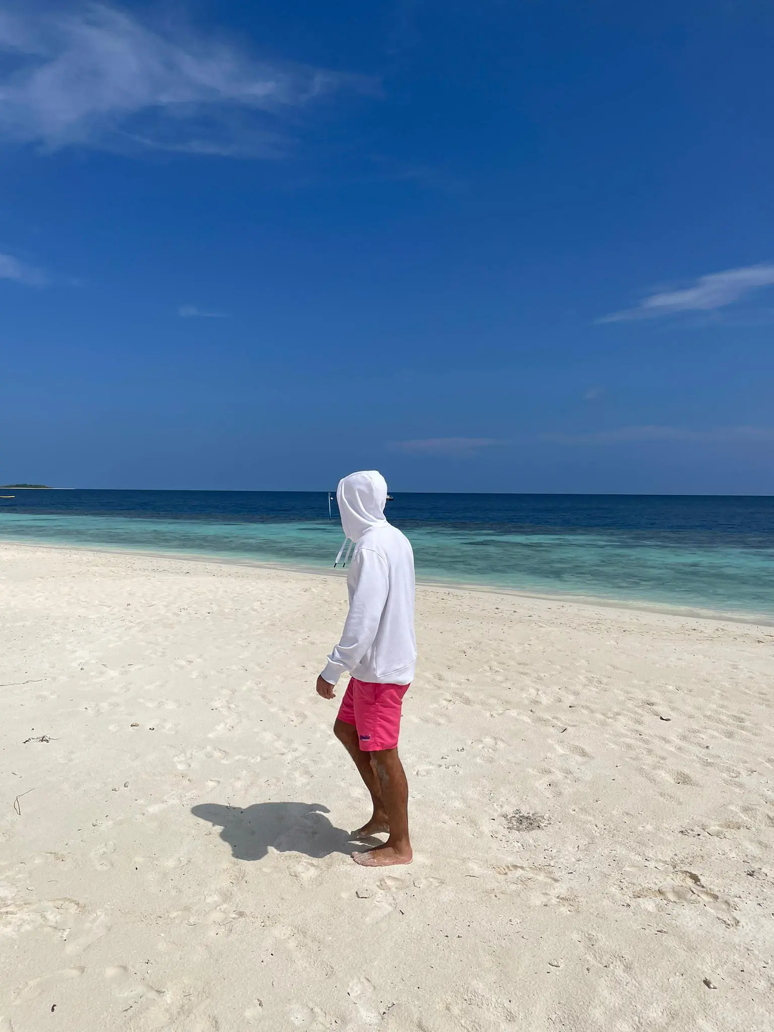 Der The Art of Spice Hoody