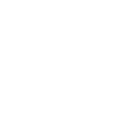 The Art of Spice logo